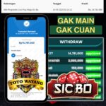 KEMENANGAN FANTASTIS PUTARAN DADU DI TOTOWAYANG SEBESAR 14 JT!