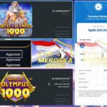 OLYMPUS 1000 PETIRNYA TURUN TANPA AMPUN!